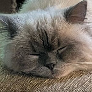 Meet your Posher, Kaitlynn